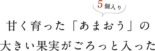 甘く育った「あまおう」の大きい果実がごろっと入った